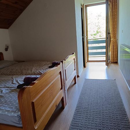 Guesthouse Mirko Hodak Seliste Dreznicko Exterior photo