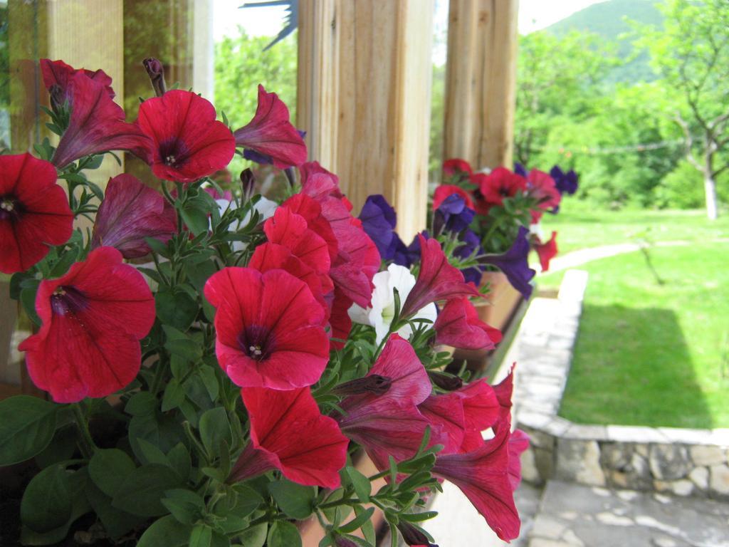 Guesthouse Mirko Hodak Seliste Dreznicko Exterior photo